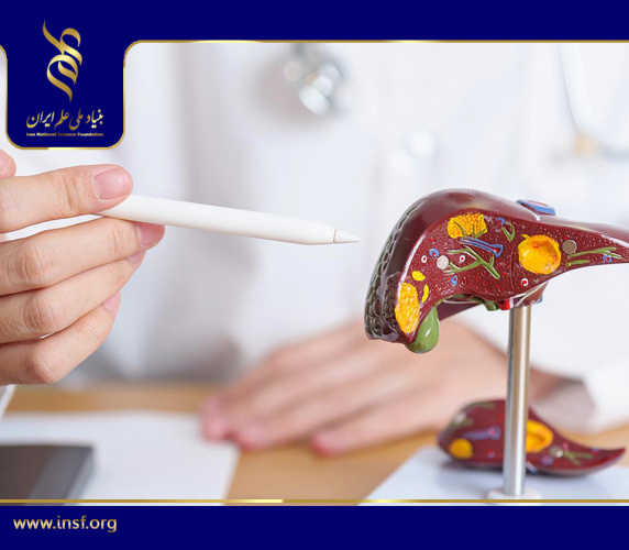 A Novel Approach to Better Understanding Liver Disease and Its Treatment
