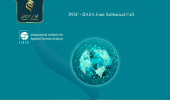 INSF – IIASA Call for Joint Sabbatical- Call for Remaining Positions