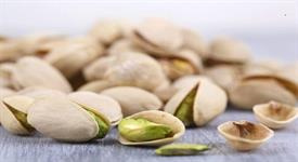 Pistachio Shells Are Used to Reduce Water Pollution
