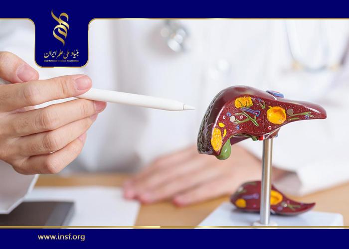 A Novel Approach to Better Understanding Liver Disease and Its Treatment