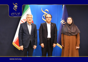 تأکید بنیاد ملی علم ایران بر حمایت از پژوهش‌های هنر و صنایع خلاق