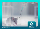 آزمایش موفق نانولیپوزوم‌ها بر روی تومور سرطانی موش‌ها