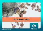 تمدید فراخوان برنامه حمایت از پژوهش‌های انقلاب زیستی -ایمونوتراپی۲ تا ۱۵ خرداد