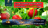 افزوده شدن « اولویت‌های دفتر برنامه ملی ارتقاء فناوری در زنجیره ارزش محصولات گلخانه‌ای و شیلاتی»  به فراخوان مشترک با معاونت علمی، فناوری و اقتصاد دانش‌بنیان