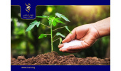 سنتز یک ترکیب فسفات‌دار مهم در کشاورزی