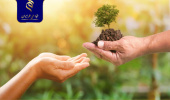 کمک به حفاظت مؤثر از گونههای گیاهی