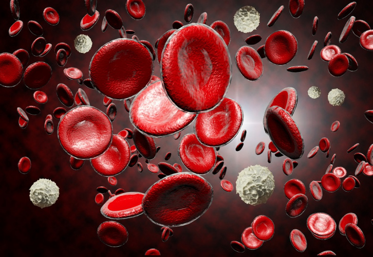 بررسی رفتار سلول‌های بنیادی برای مهار بیماری‌های خونی