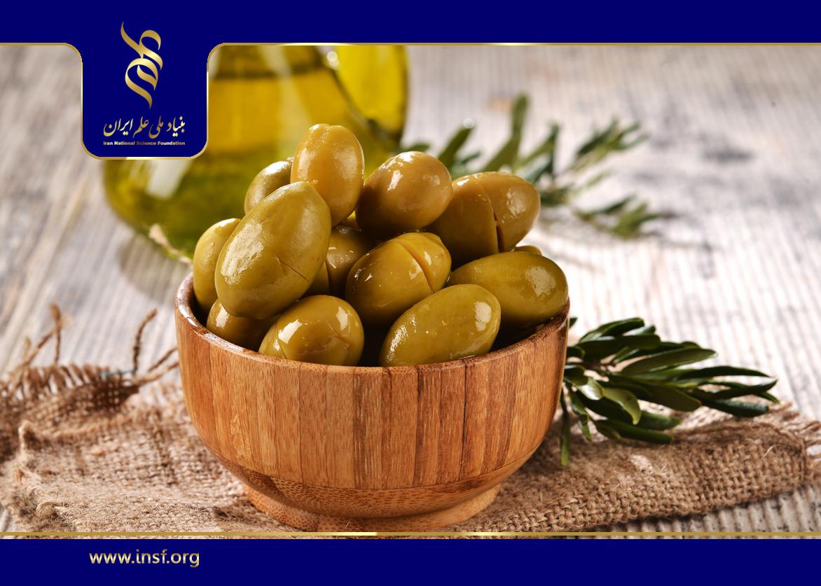 شناسایی گونه مقاوم زیتون در مناطق نیمه‌گرم